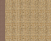 Boucle Pampas Autumn Border Sisal Rug
