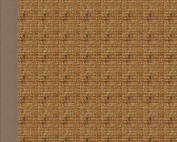 Gingerbread Sisal Rug with Bark border