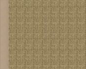 Sisal Boucle Marble Rug with Tan Border